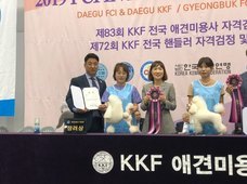 KKF 83회 애견미용 자격검정 및 컨테스트 수상!! 